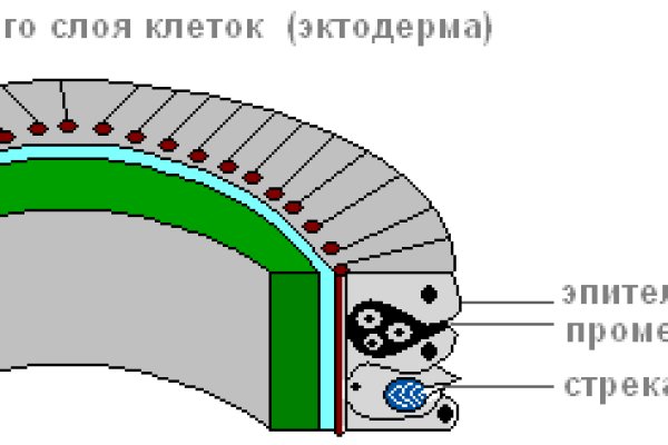 Купон кракен даркнет