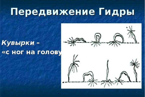 Kraken сайт tor